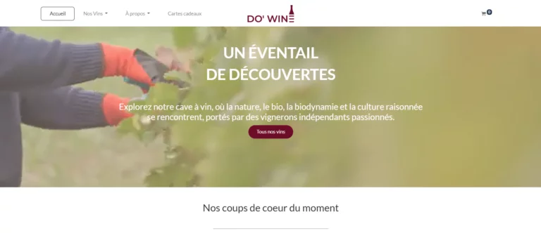 Dowine et leur gestion interne par un ERP